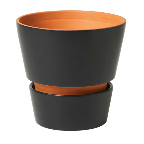 Flower Pot